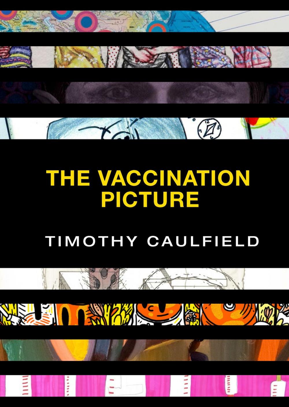 Big bigCover of The Vaccination Picture