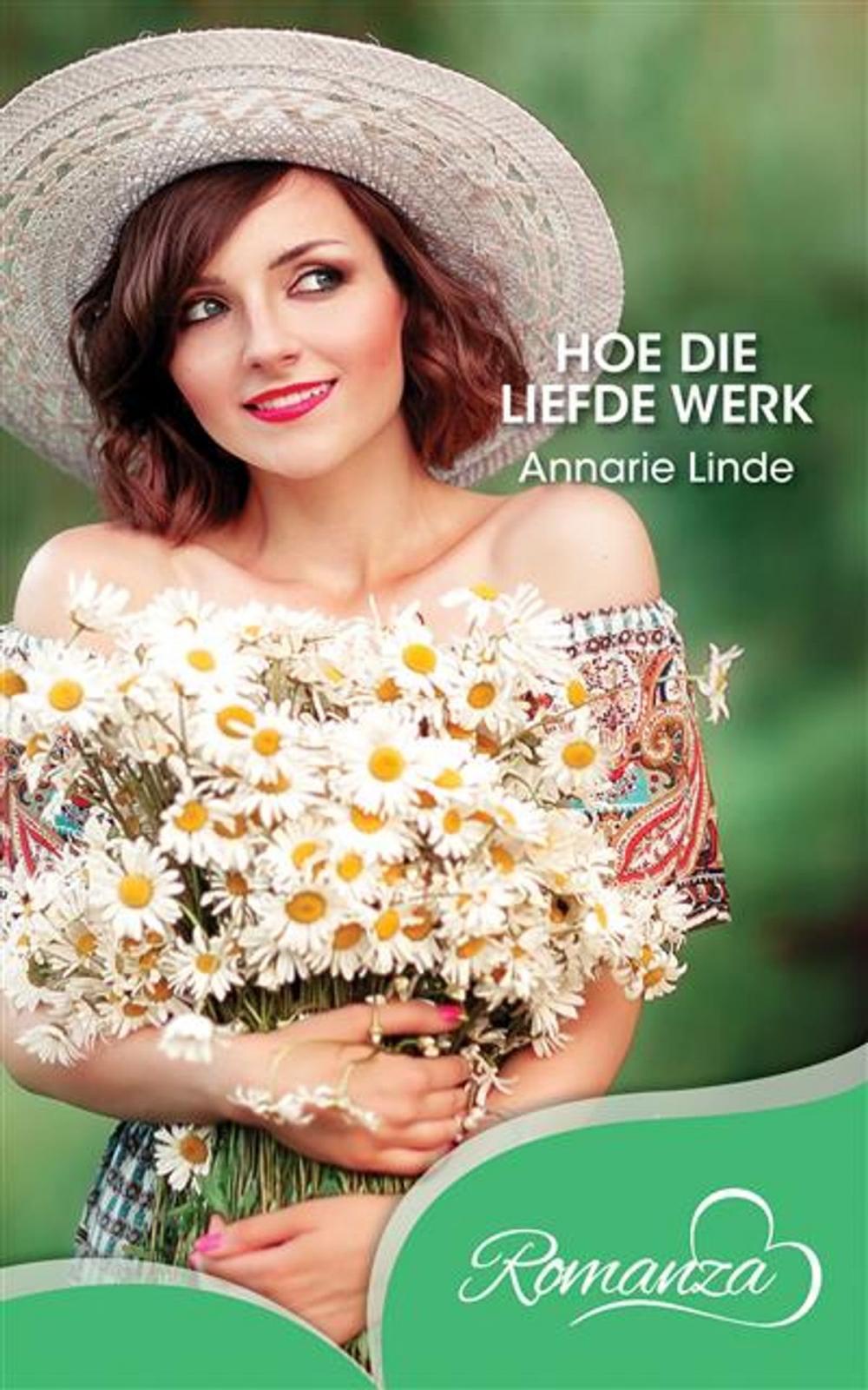 Big bigCover of Hoe die liefde werk