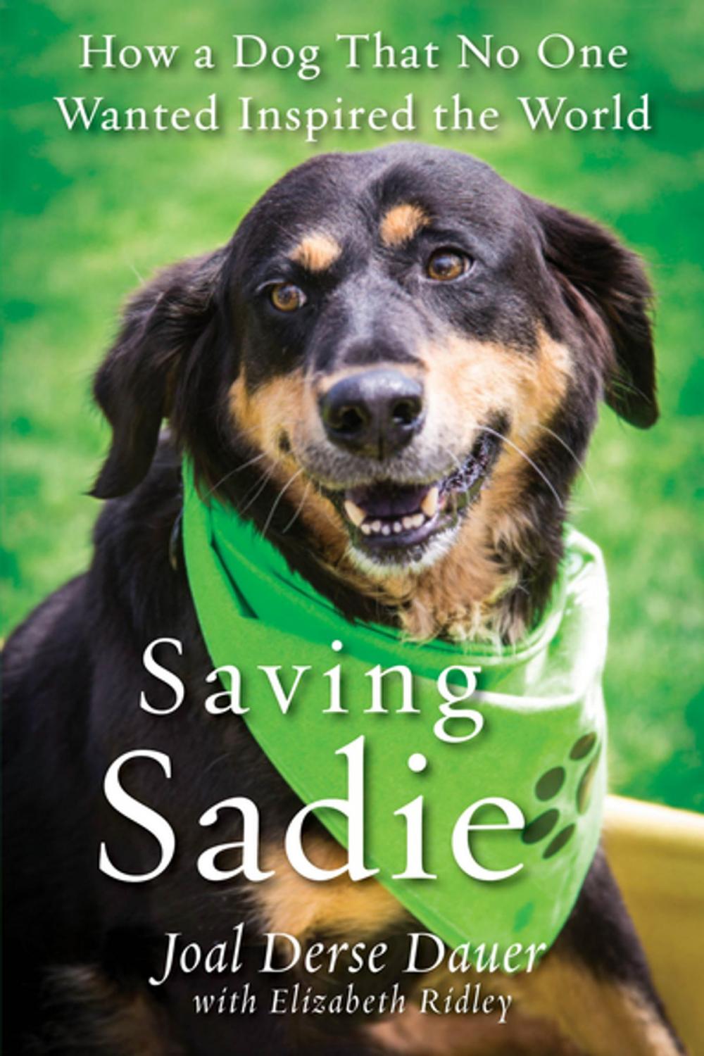 Big bigCover of Saving Sadie