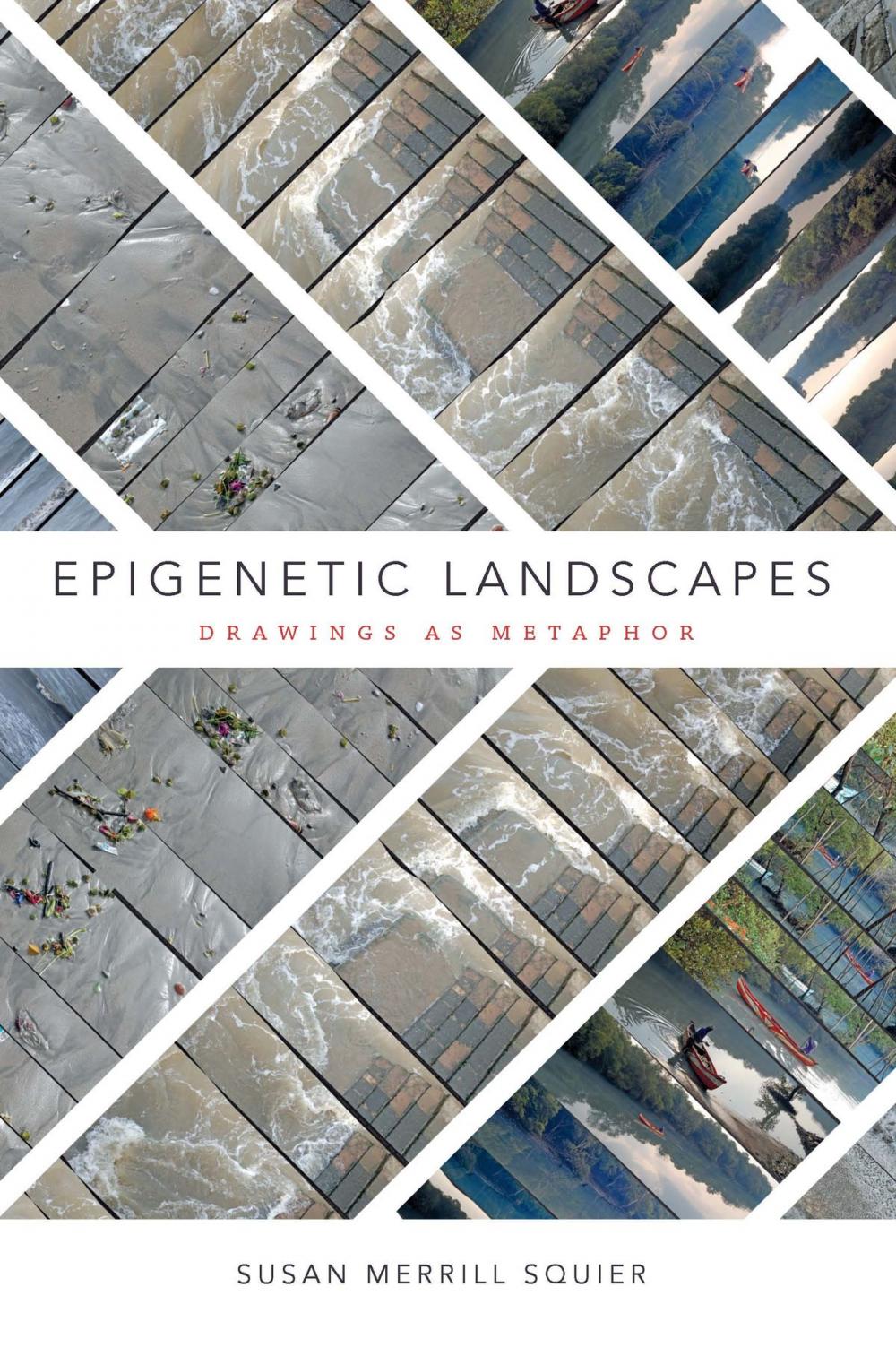Big bigCover of Epigenetic Landscapes