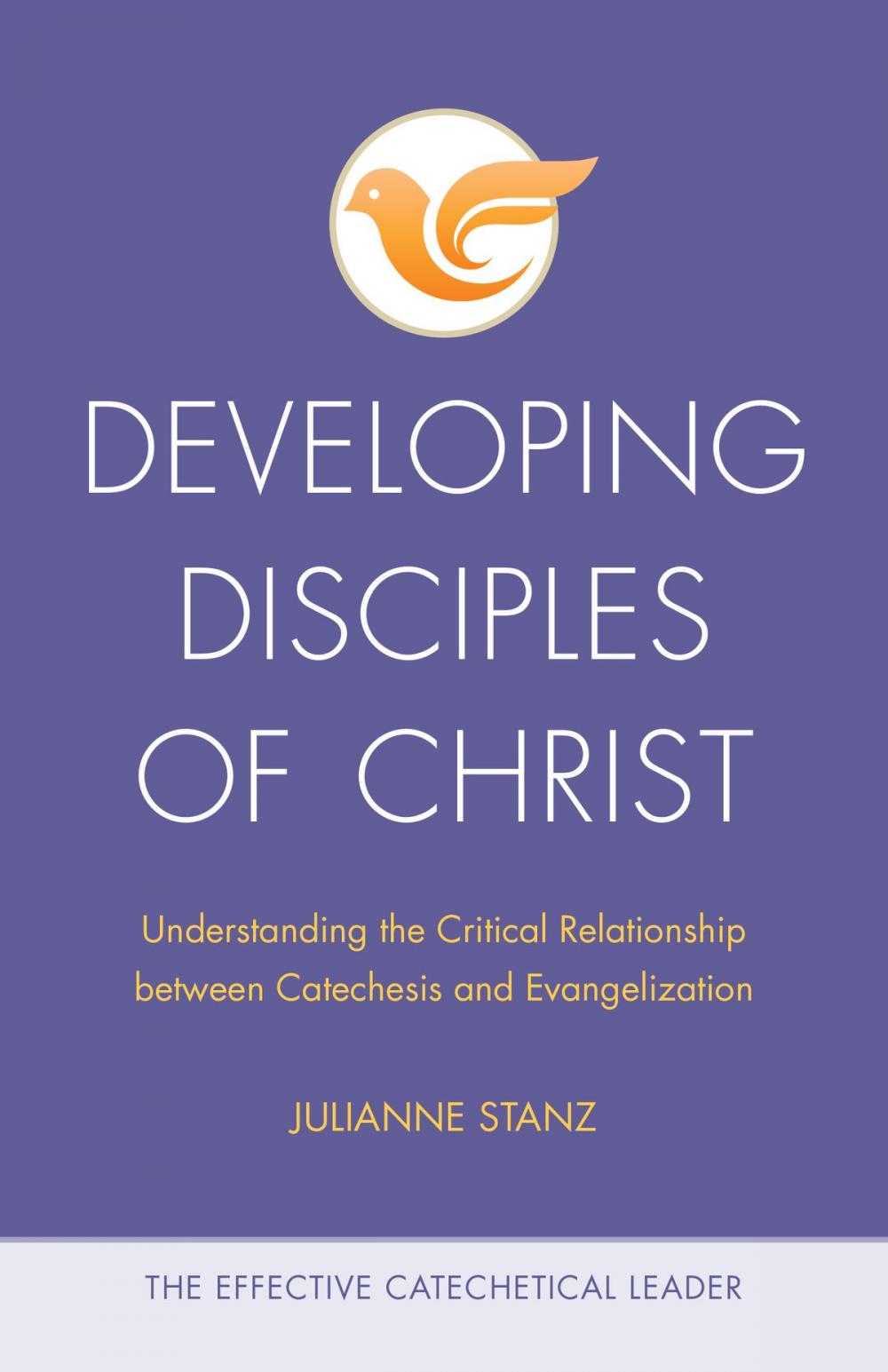 Big bigCover of Developing Disciples of Christ