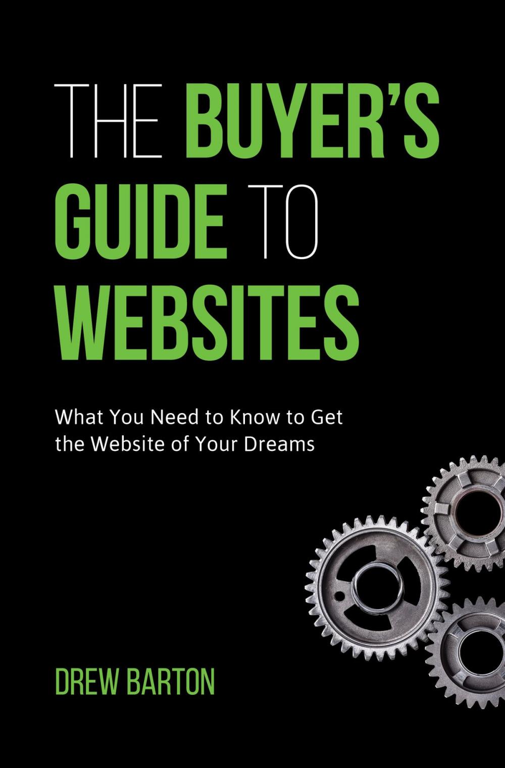 Big bigCover of The Buyer's Guide to Websites