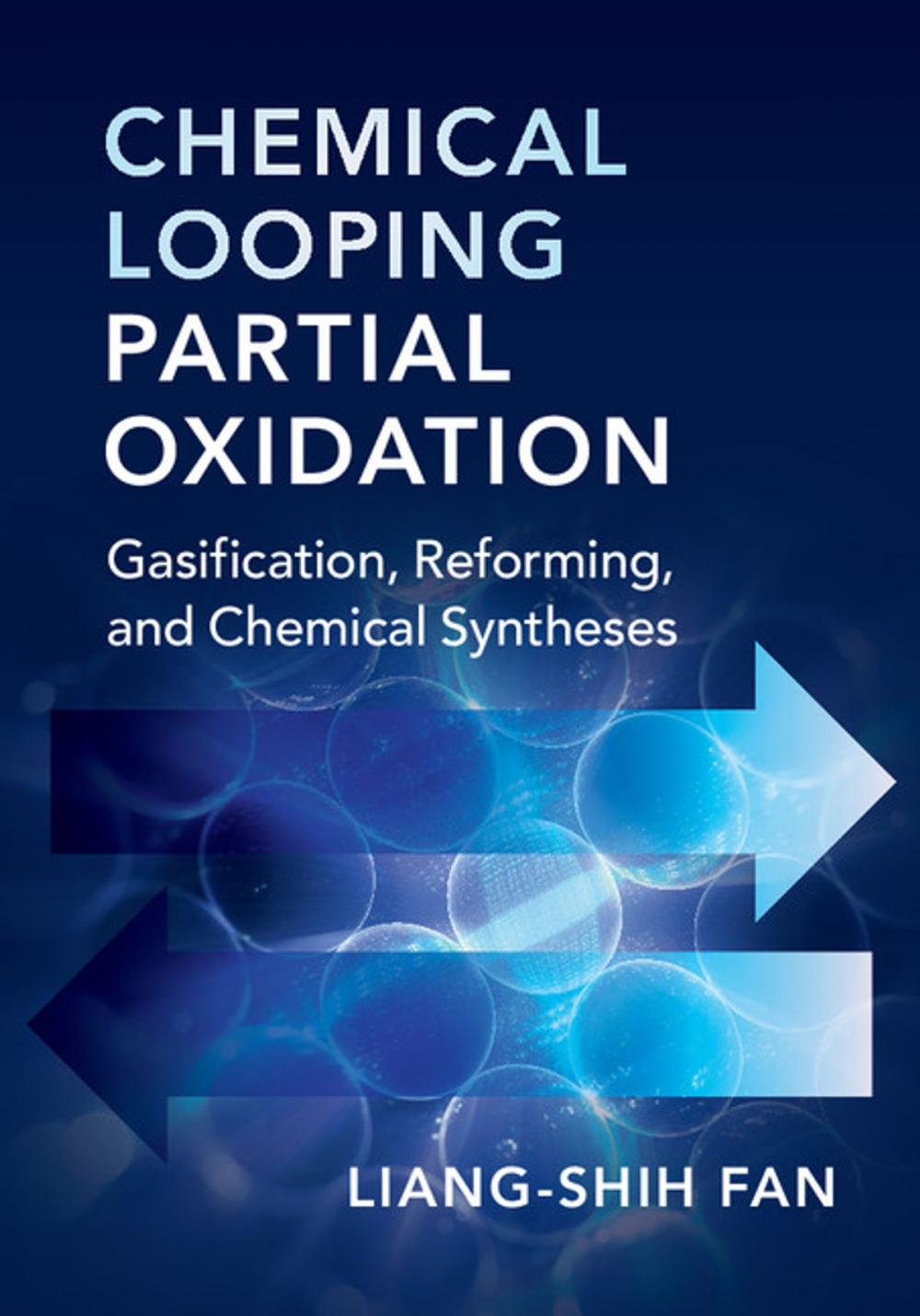 Big bigCover of Chemical Looping Partial Oxidation