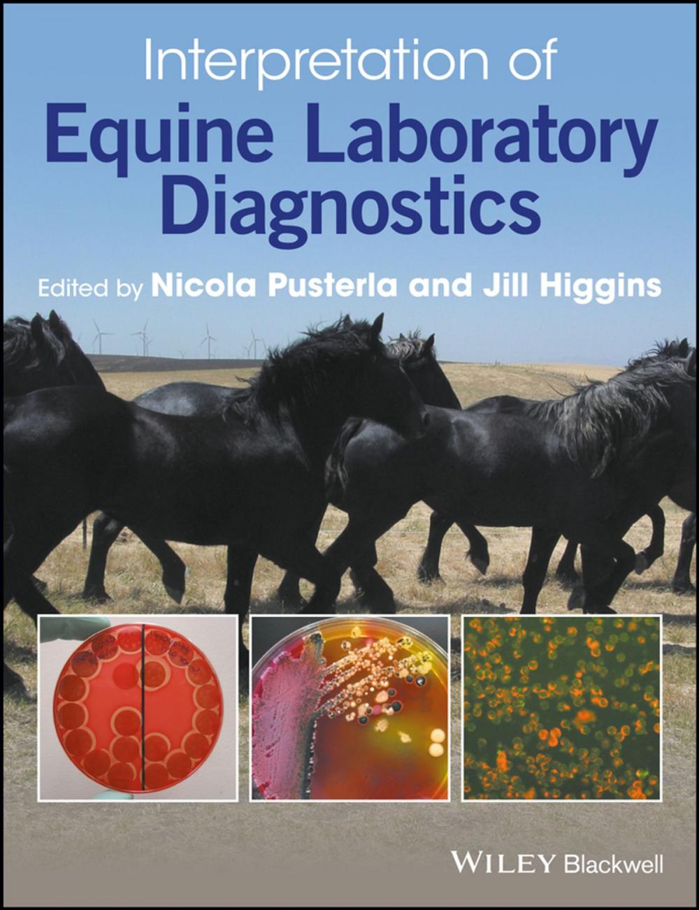 Big bigCover of Interpretation of Equine Laboratory Diagnostics