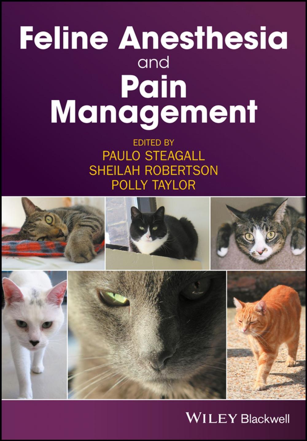 Big bigCover of Feline Anesthesia and Pain Management