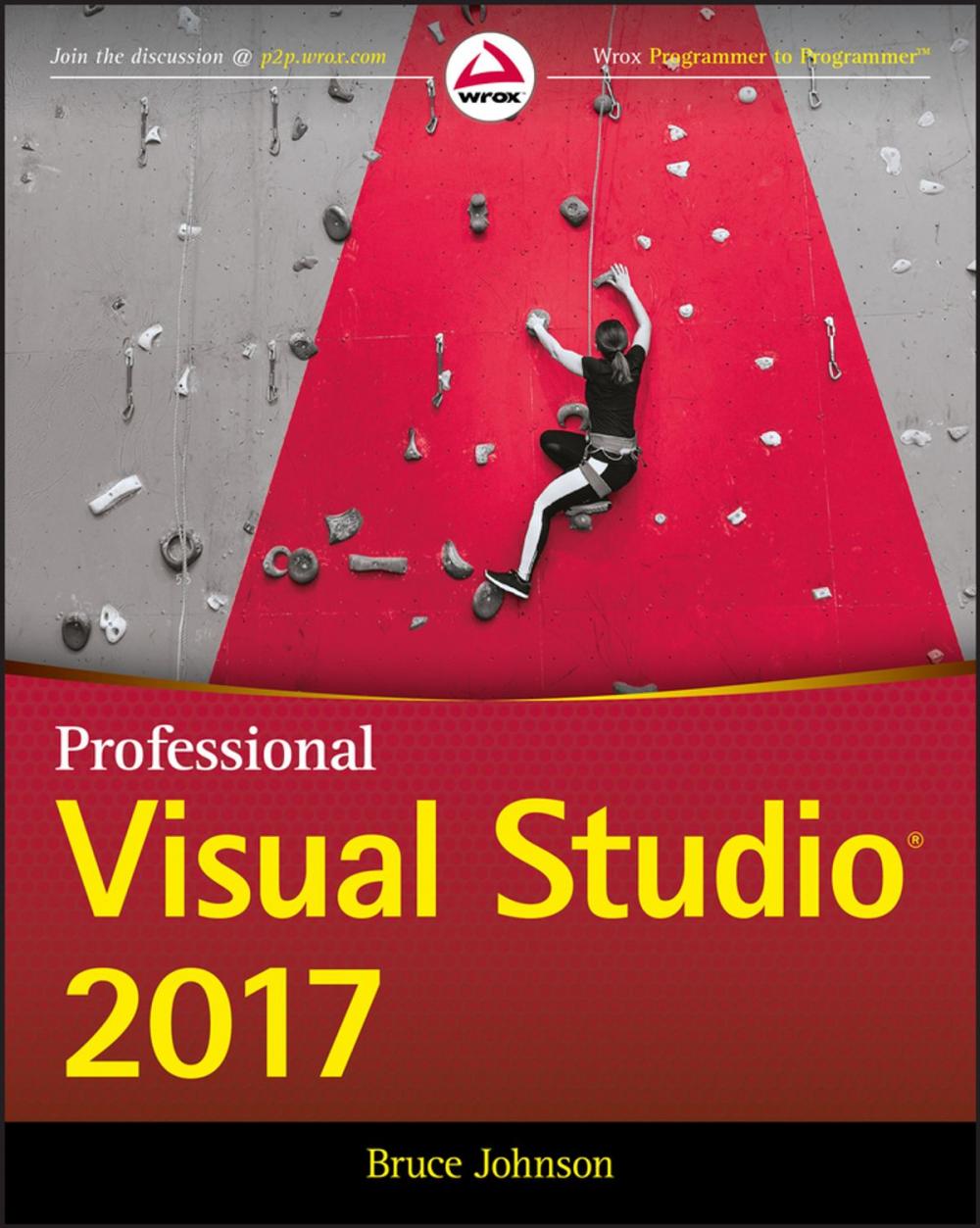 Big bigCover of Professional Visual Studio 2017