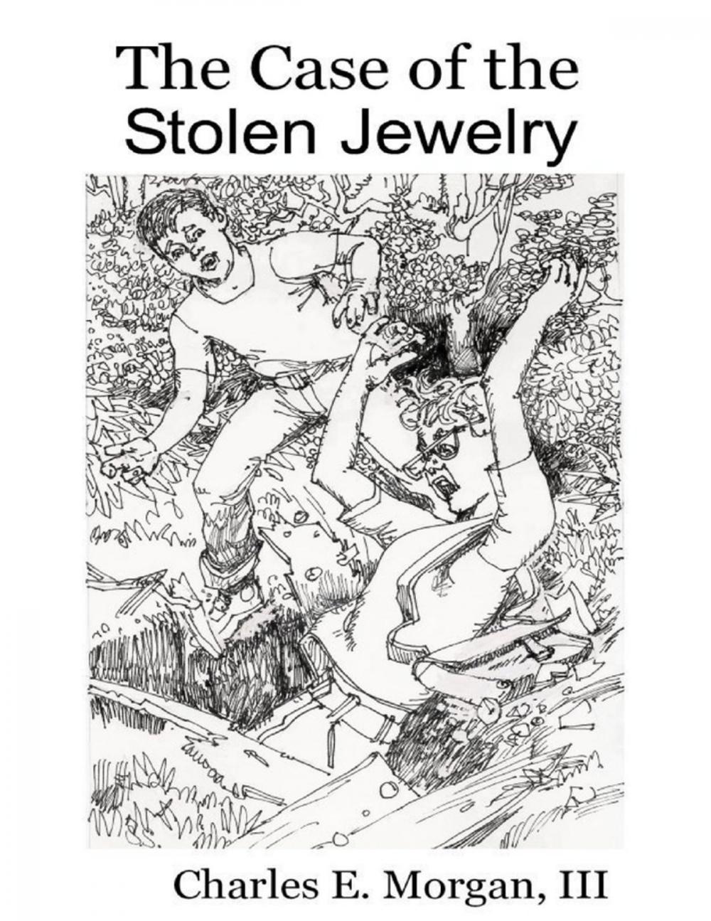 Big bigCover of The Case of the Stolen Jewelry