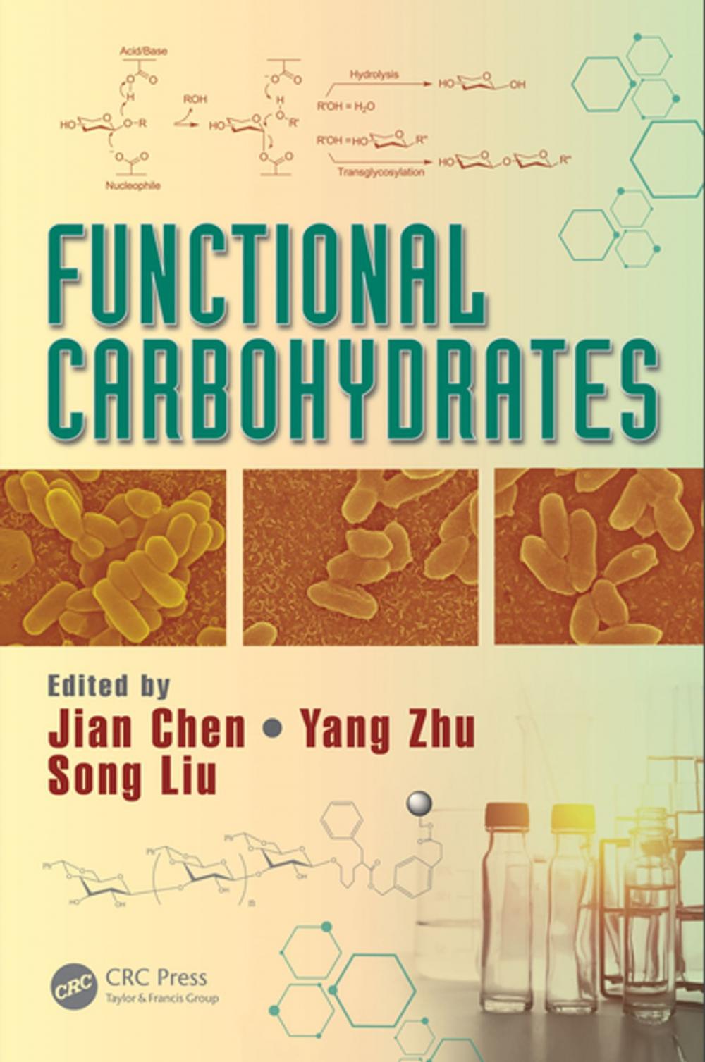 Big bigCover of Functional Carbohydrates