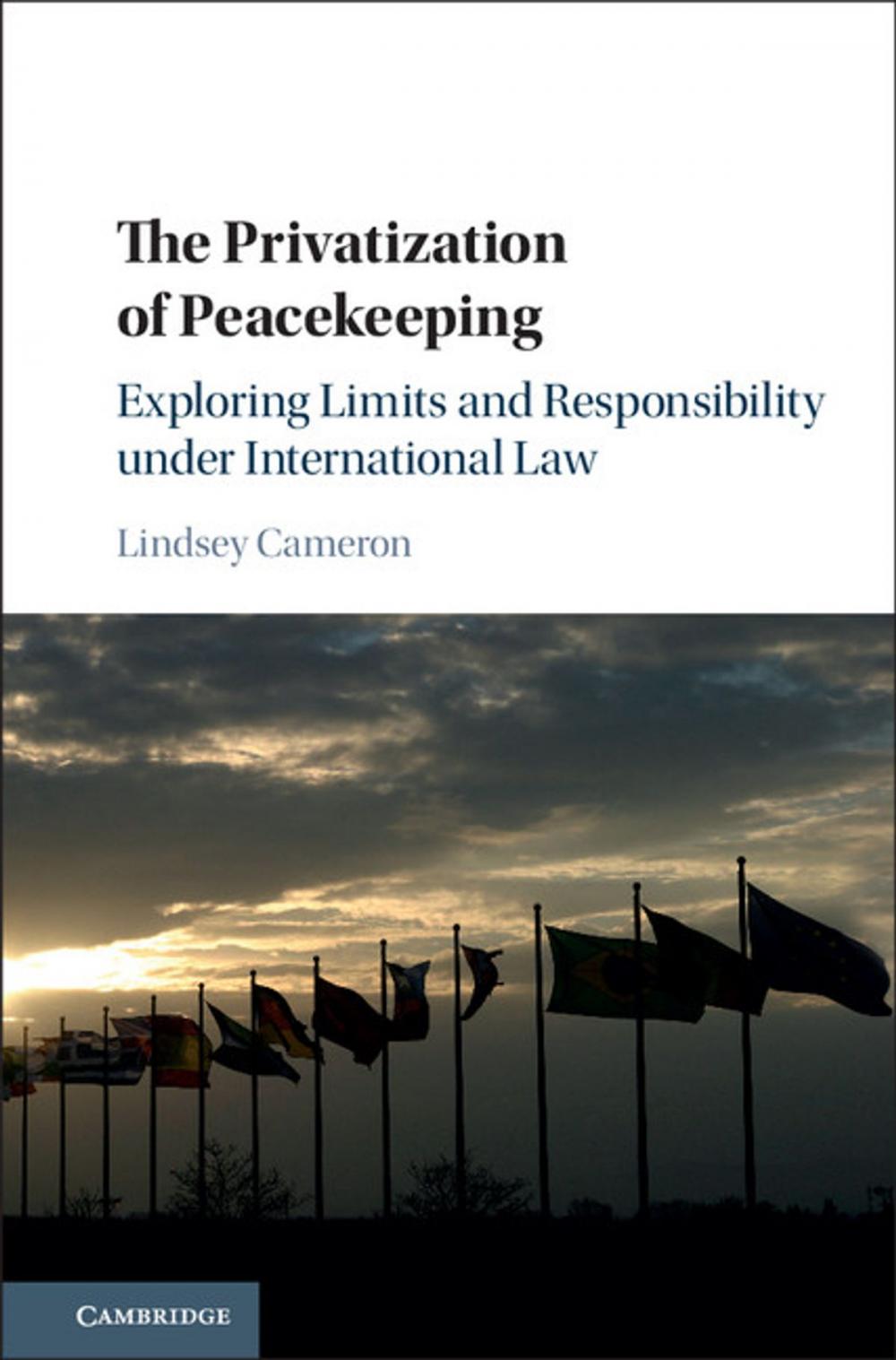 Big bigCover of The Privatization of Peacekeeping