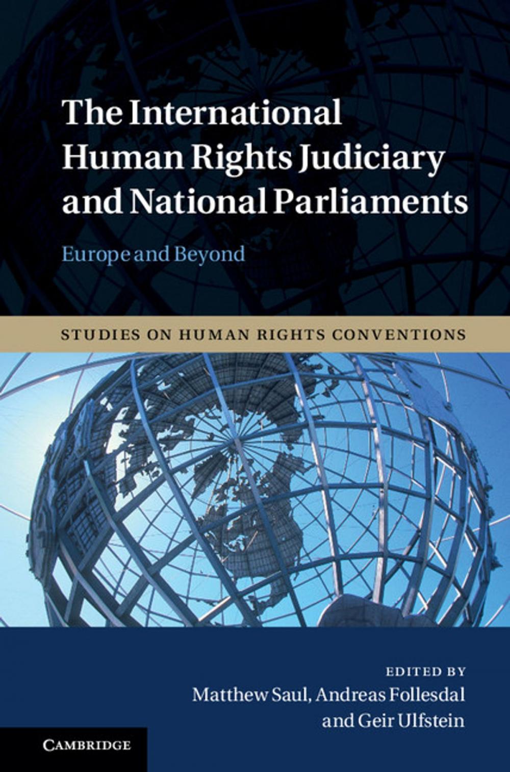 Big bigCover of The International Human Rights Judiciary and National Parliaments