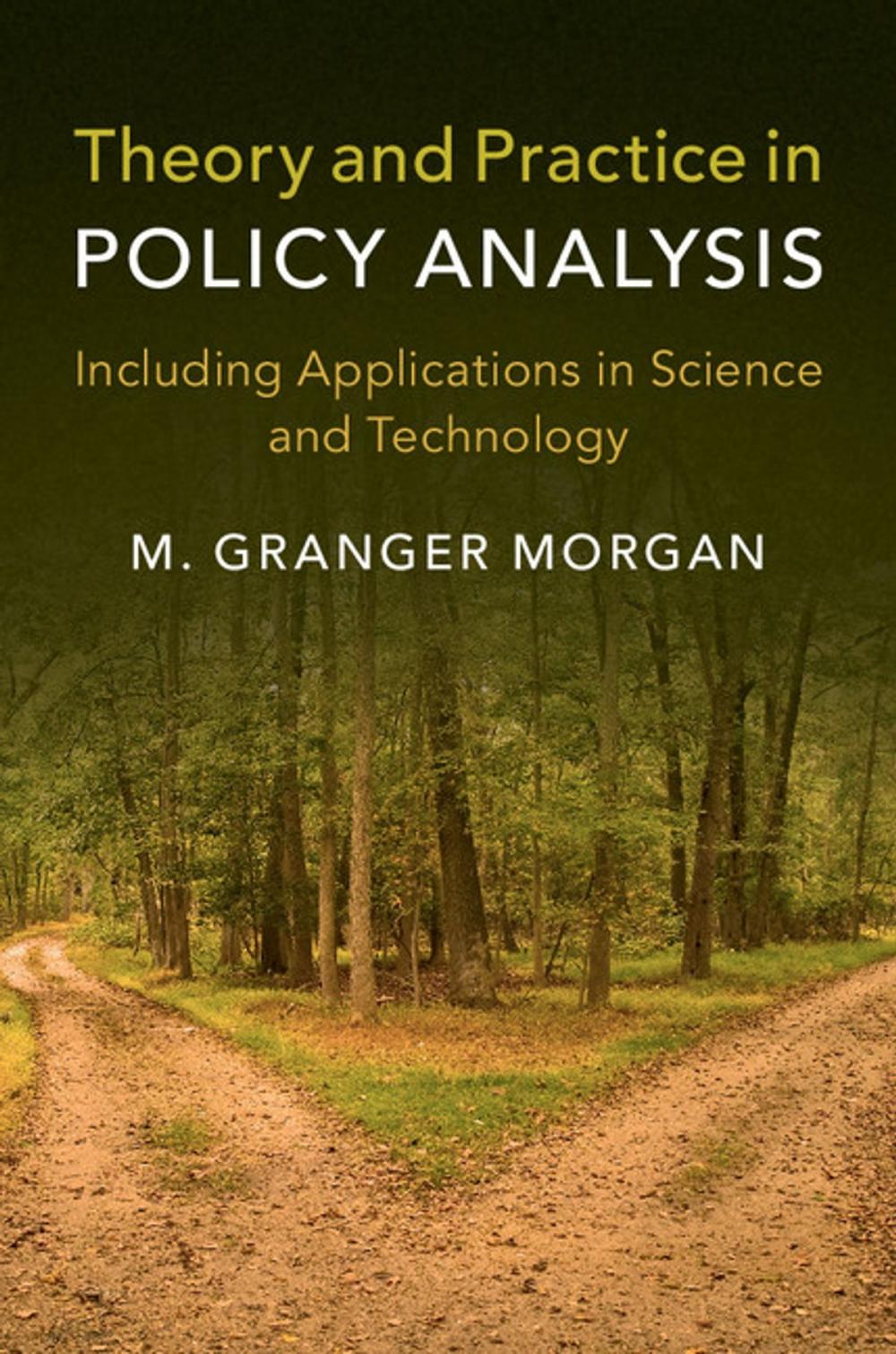 Big bigCover of Theory and Practice in Policy Analysis