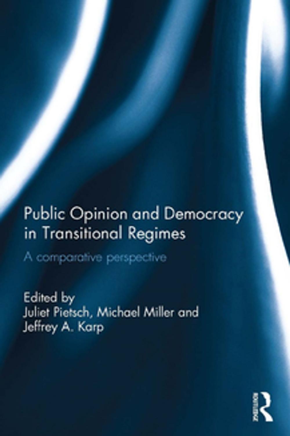 Big bigCover of Public Opinion and Democracy in Transitional Regimes