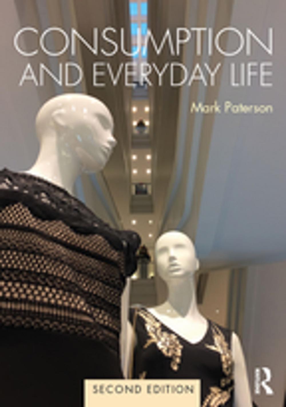 Big bigCover of Consumption and Everyday Life