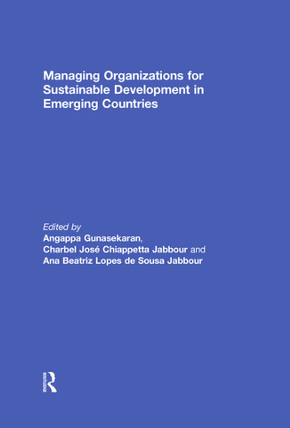 Big bigCover of Managing Organizations for Sustainable Development in Emerging Countries