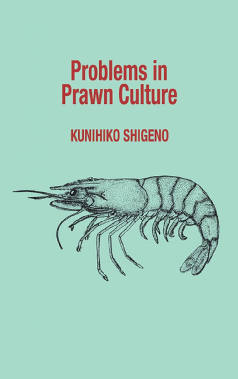 Big bigCover of Problems in Prawn Culture