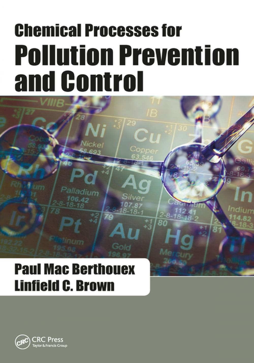 Big bigCover of Chemical Processes for Pollution Prevention and Control