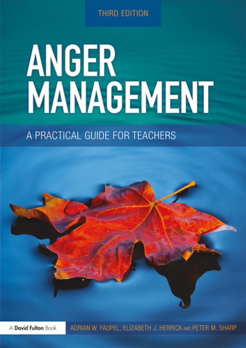 Big bigCover of Anger Management