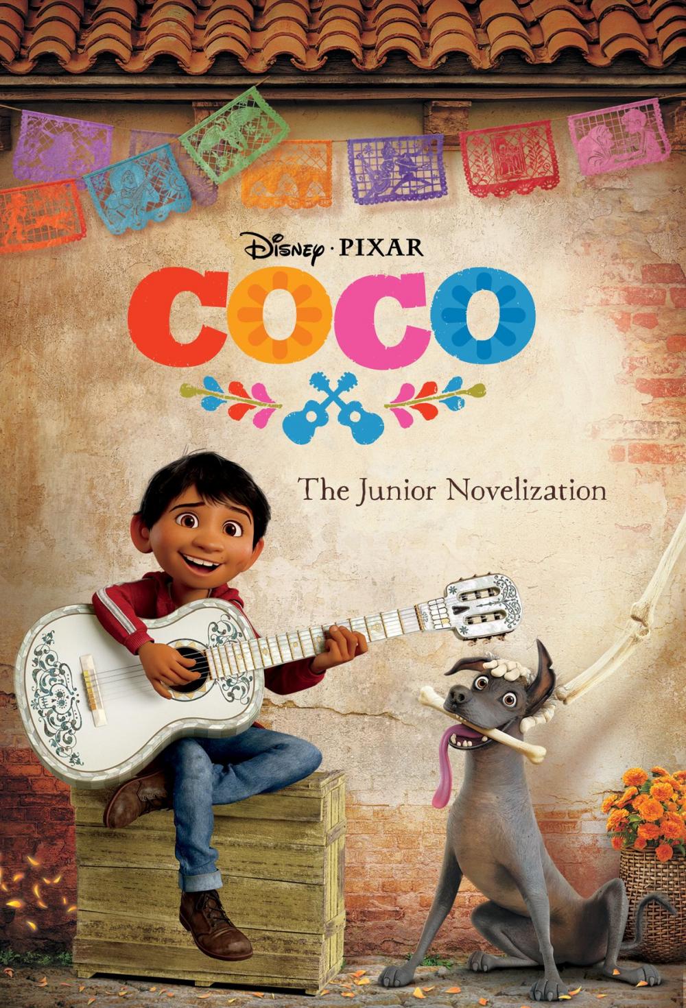 Big bigCover of Coco Junior Novel