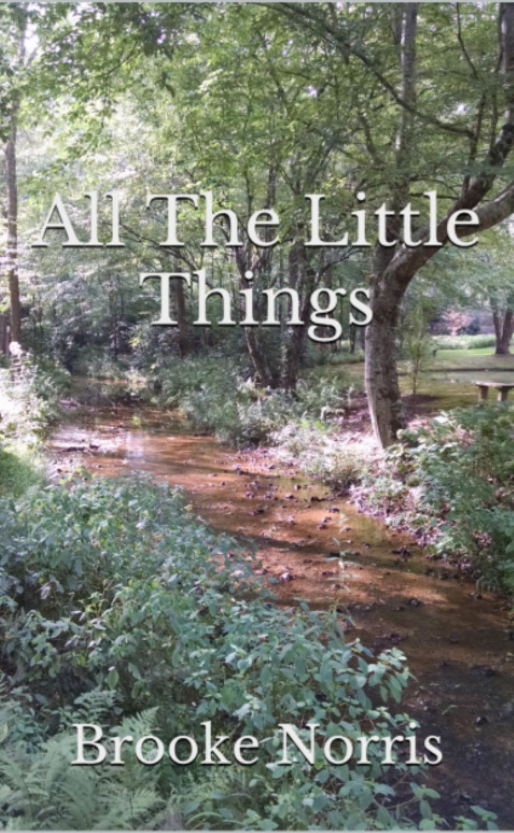 Big bigCover of All the Little Things