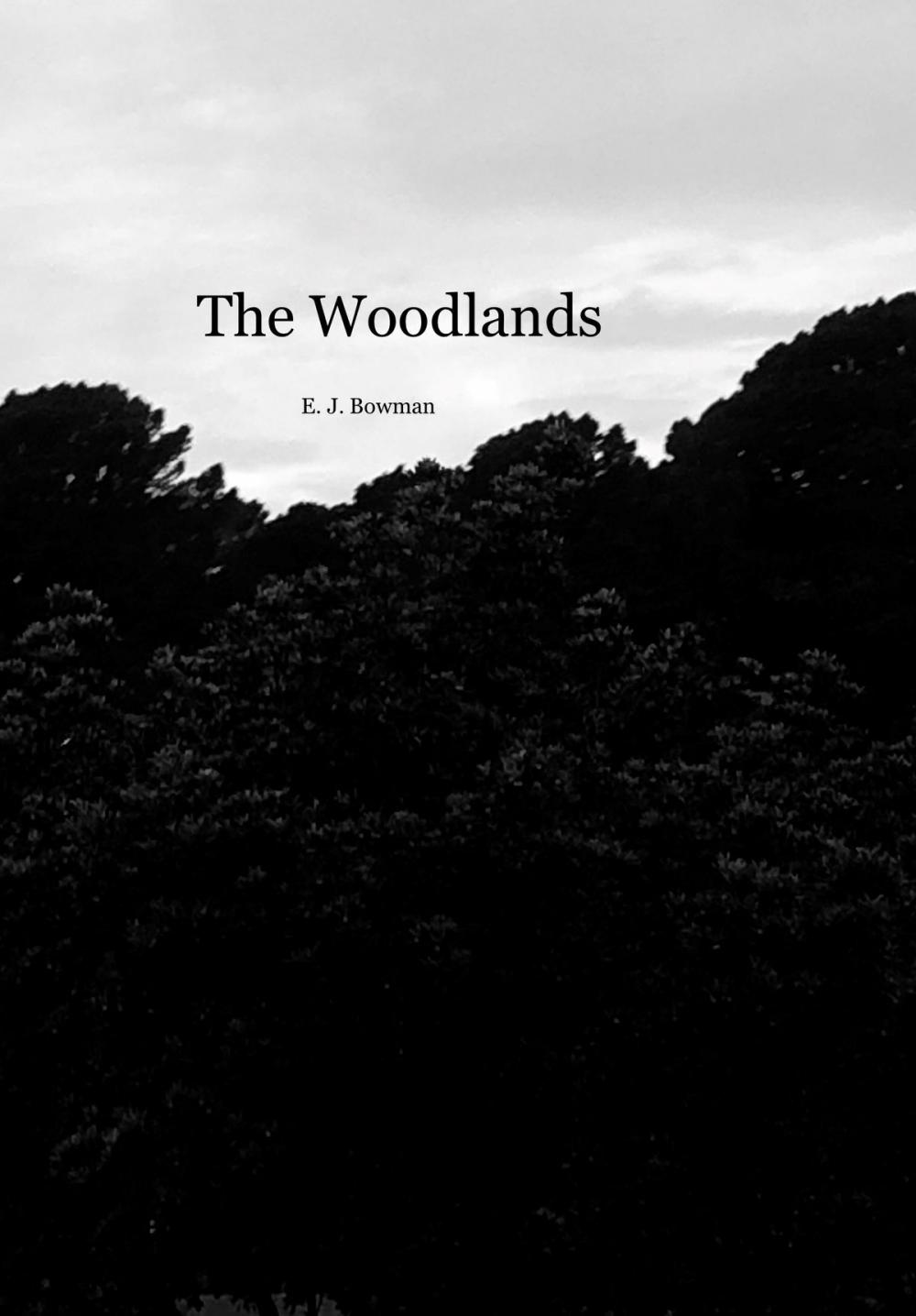 Big bigCover of The Woodlands