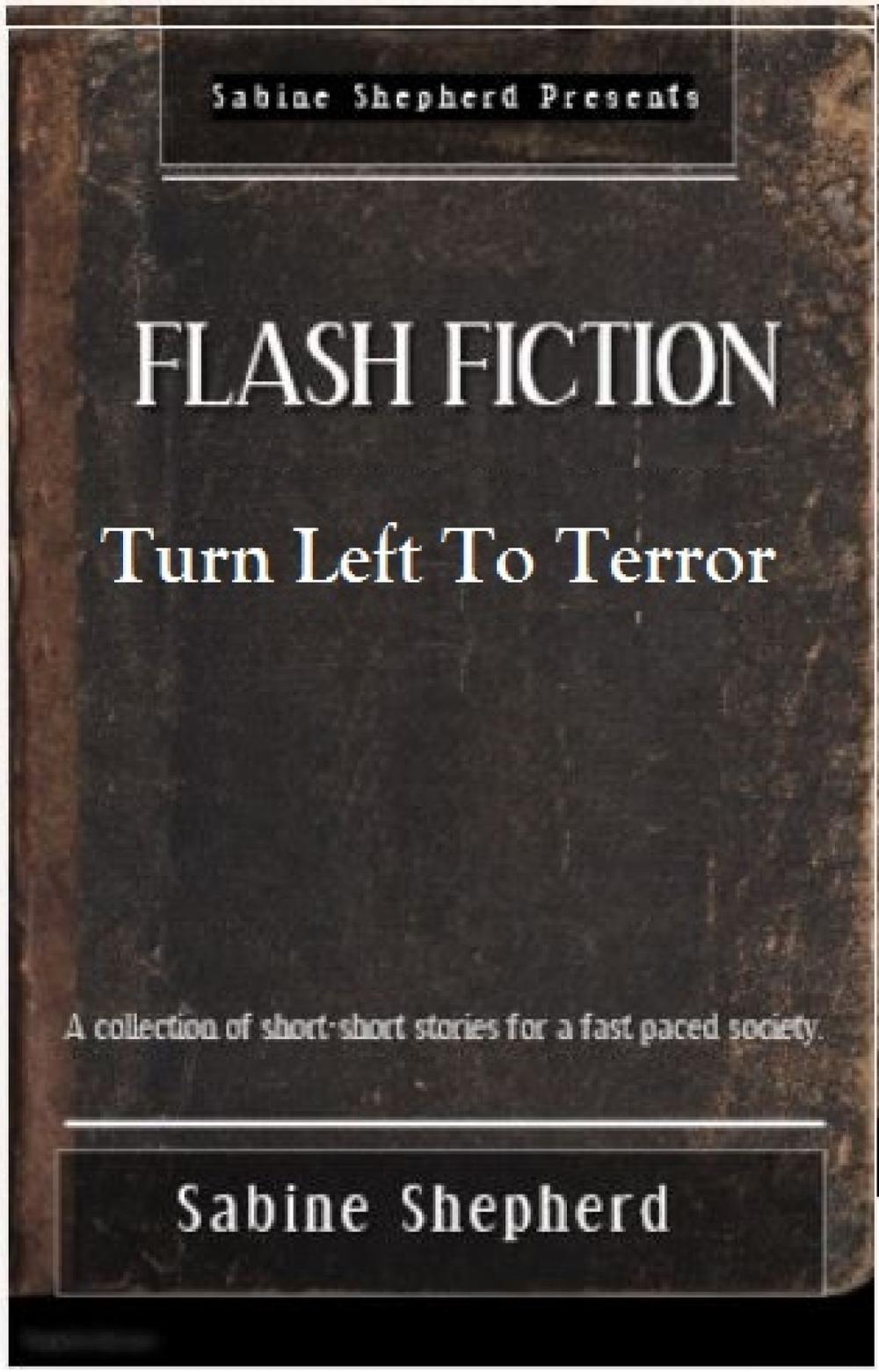 Big bigCover of Turn Left to Terror-Flash Fiction