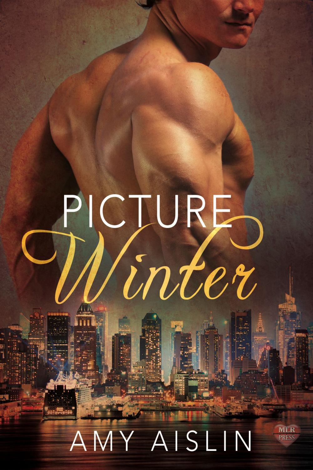 Big bigCover of Picture Winter