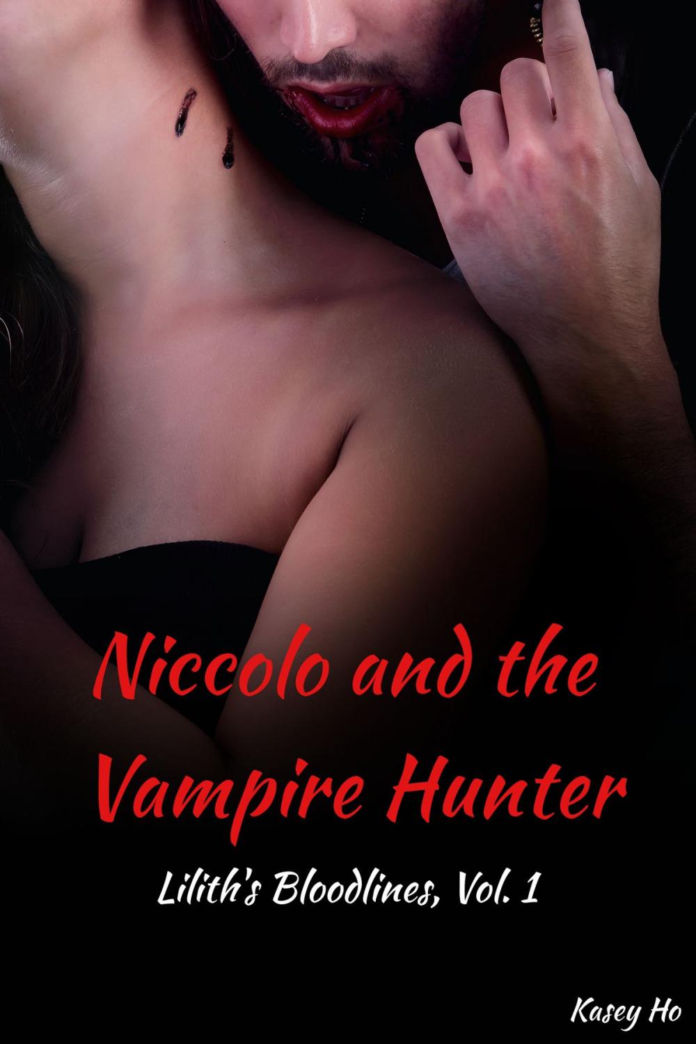 Big bigCover of Niccolo and the Vampire Hunter