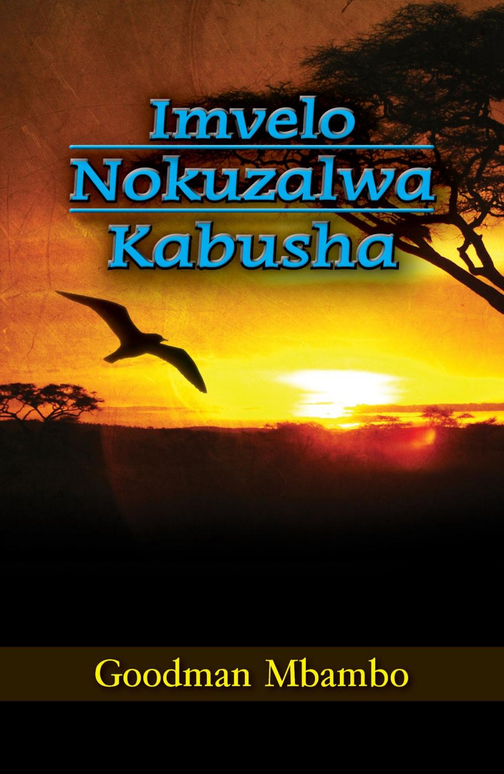Big bigCover of Imvelo Nokuzalwa Kabusha