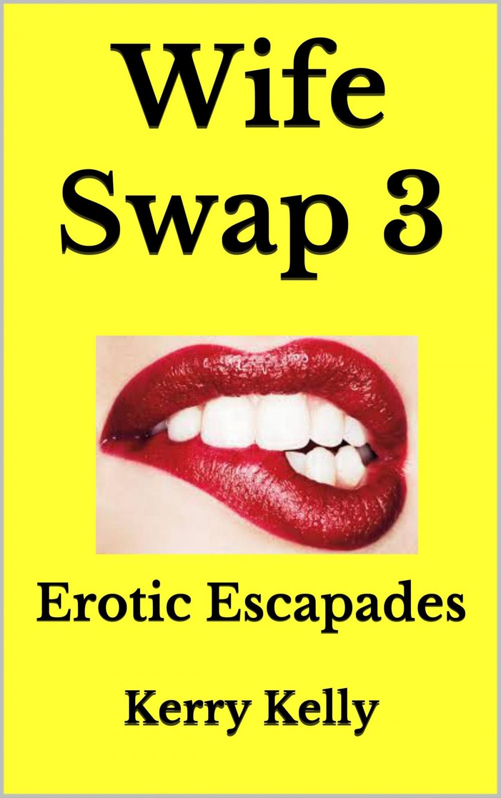 Big bigCover of Wife Swap 3: Erotic Escapades