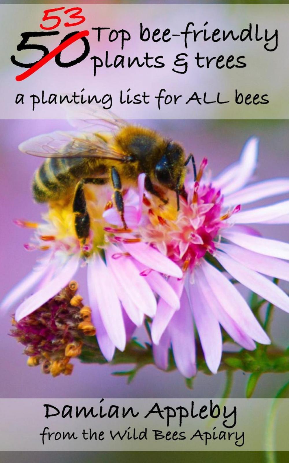 Big bigCover of The 53 top bee-friendly plants & trees