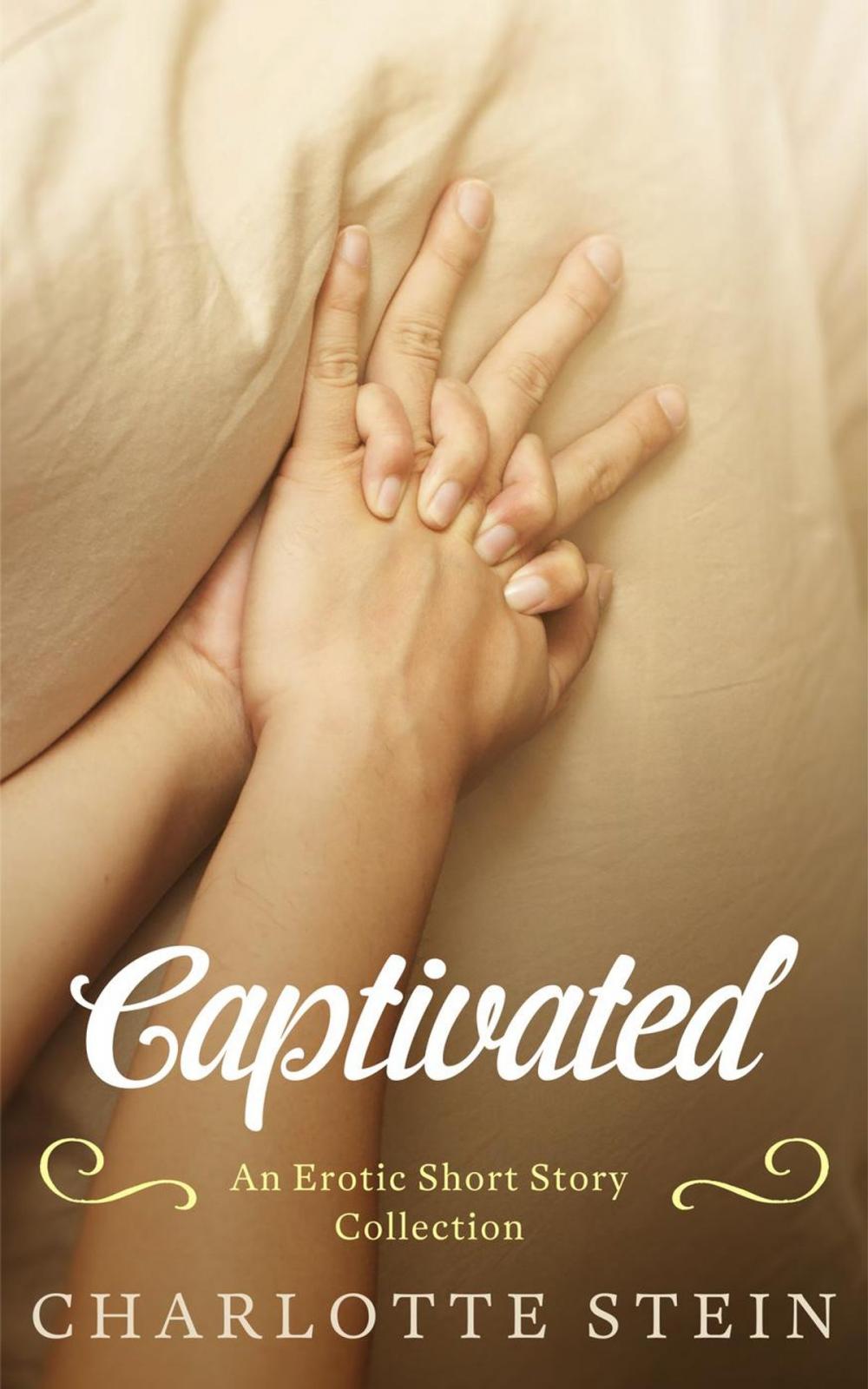 Big bigCover of Captivated