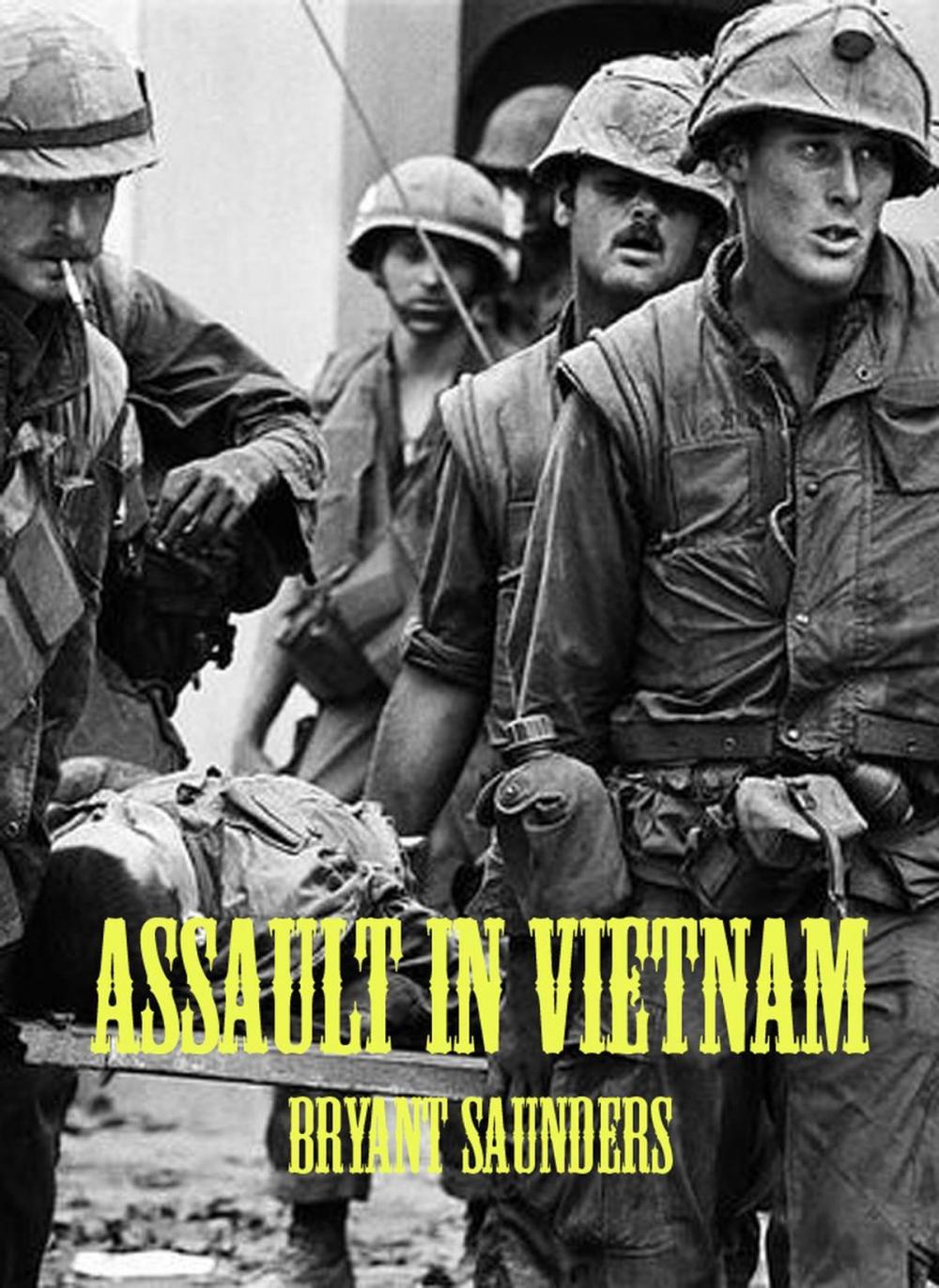 Big bigCover of Assault In Vietnam