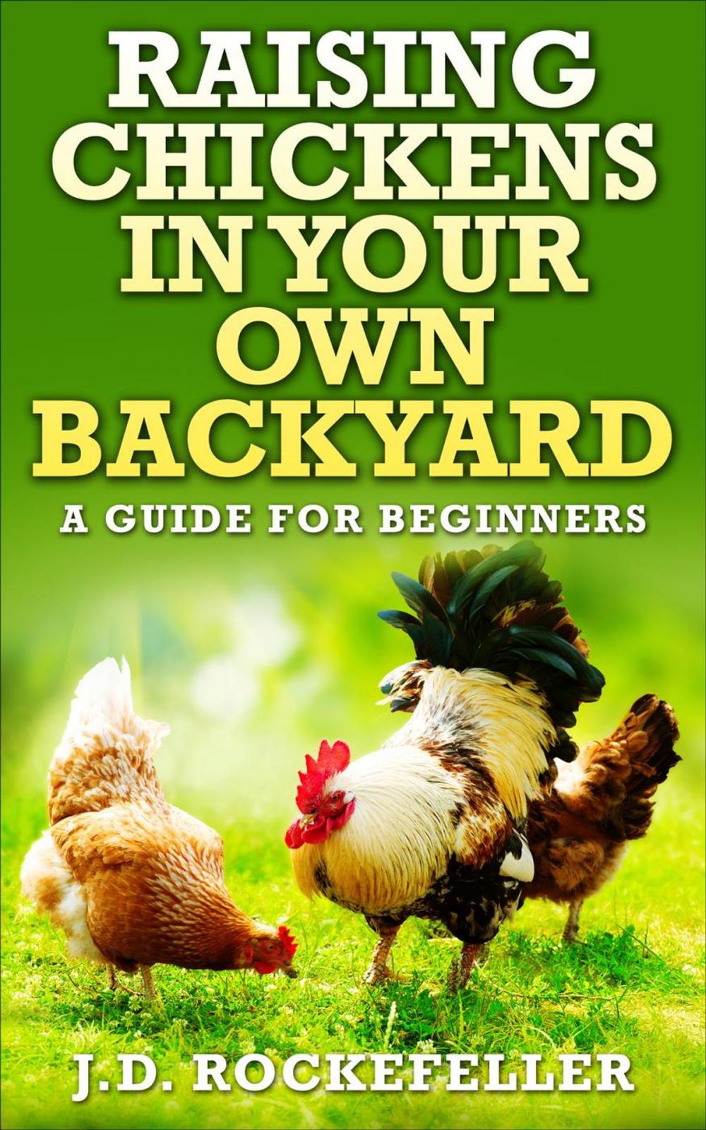 Big bigCover of Raising Chickens in Your Own Backyard: A Beginner's Guide