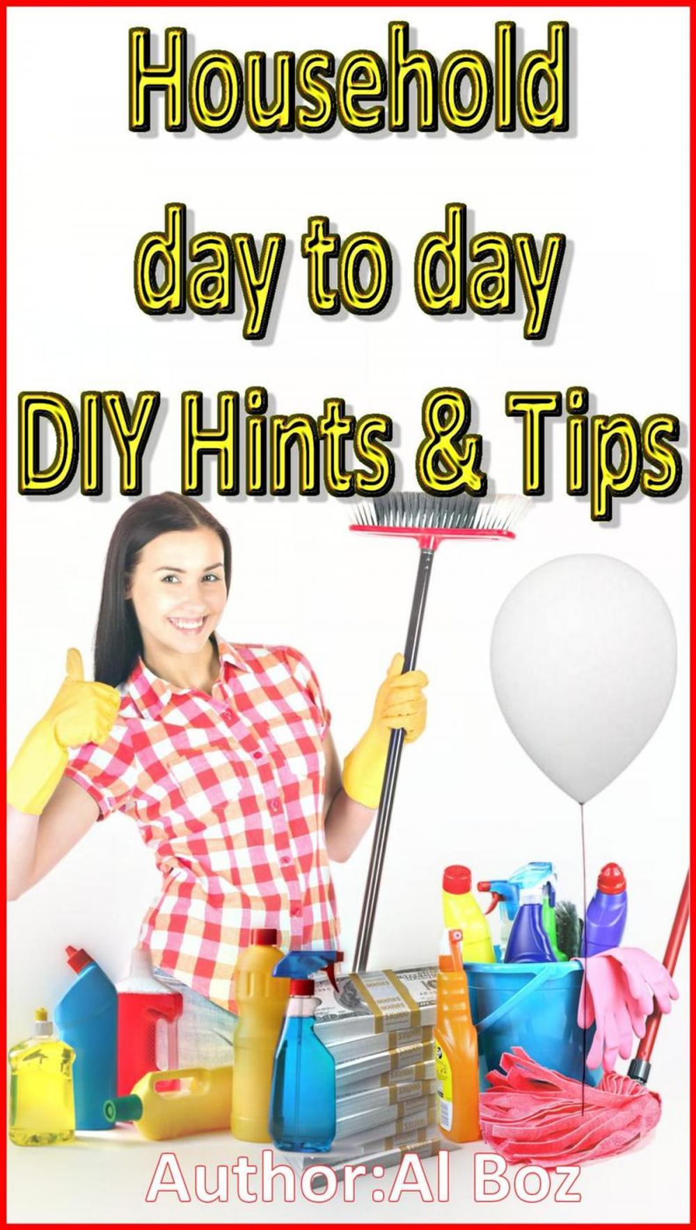 Big bigCover of Household Day to Day DIY Hints