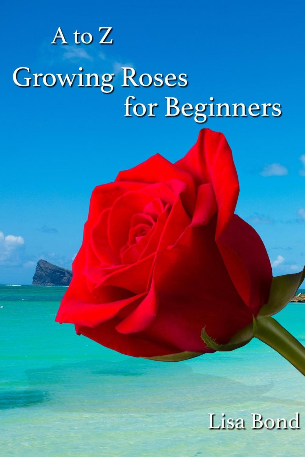 Big bigCover of A to Z Growing Roses for Beginners