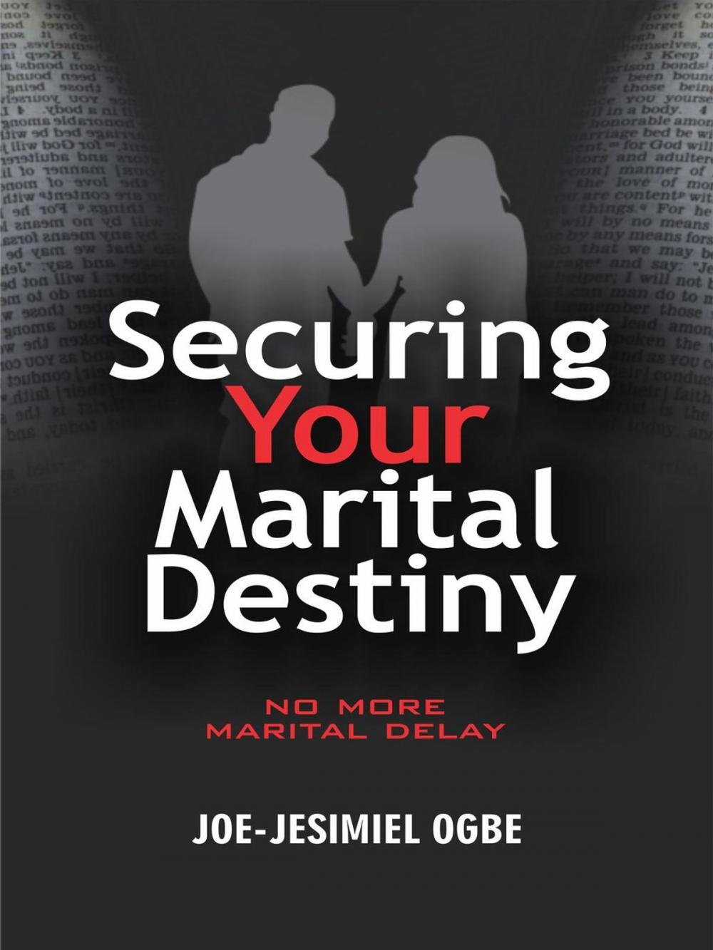 Big bigCover of Securing Your Marital Destiny: No More Marital Delay