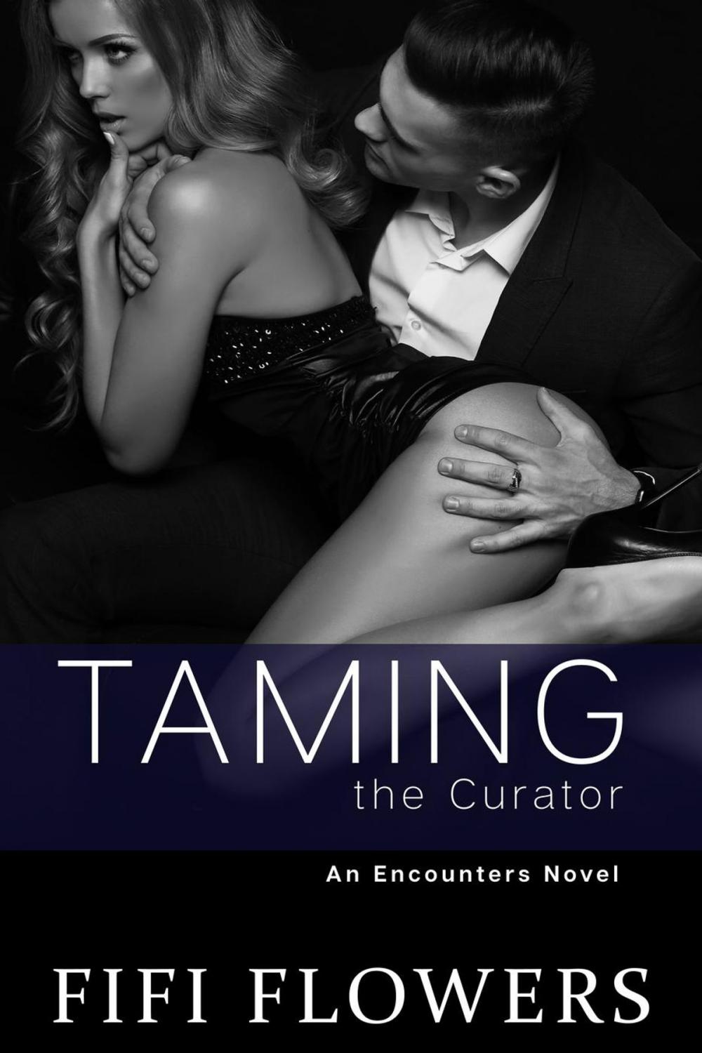 Big bigCover of Taming the Curator