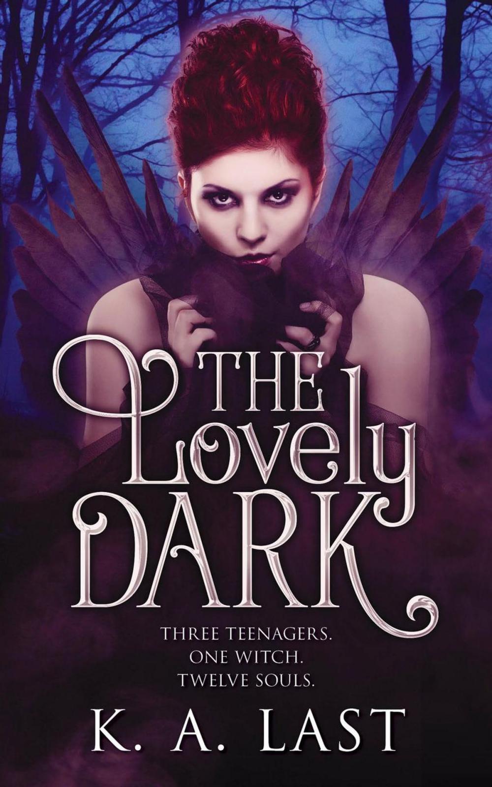 Big bigCover of The Lovely Dark