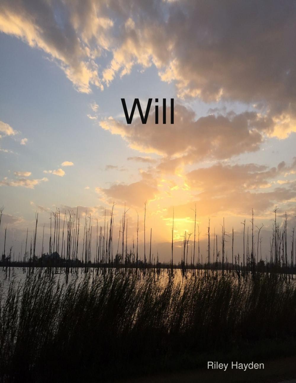 Big bigCover of Will