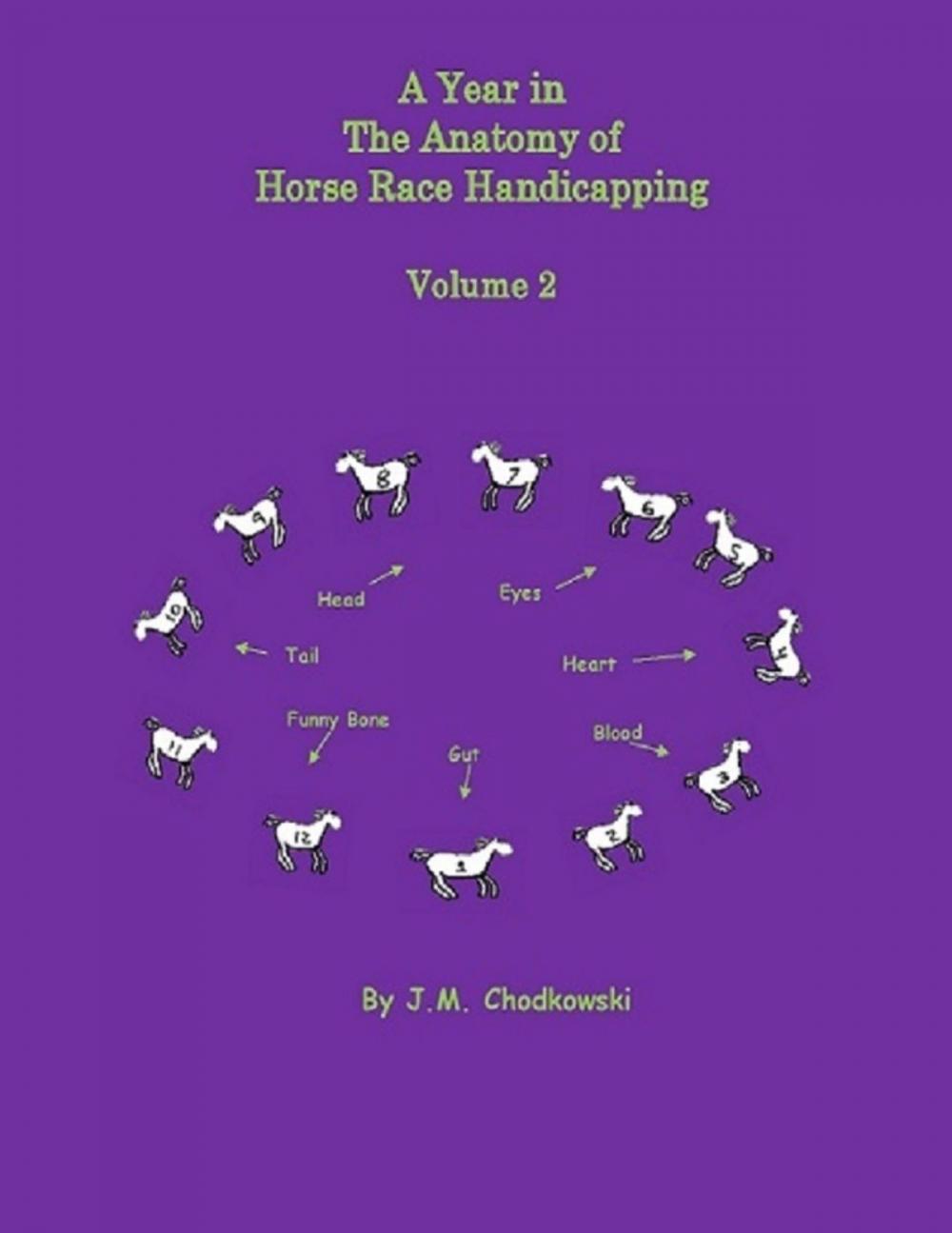 Big bigCover of A Year In the Anatomy of Horse Race Handicapping: Volume 2