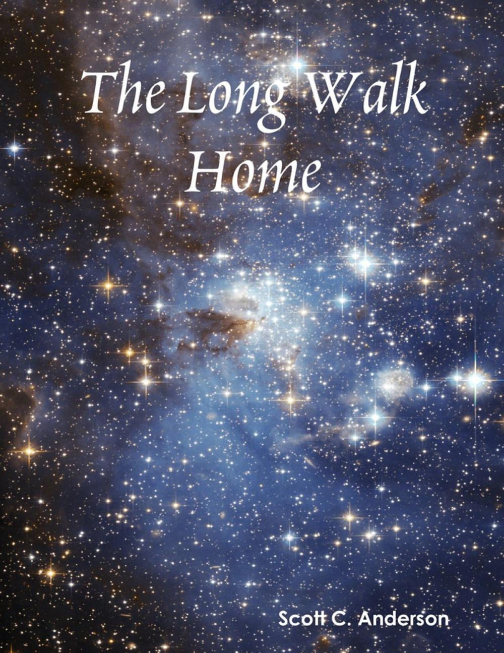 Big bigCover of The Long Walk Home