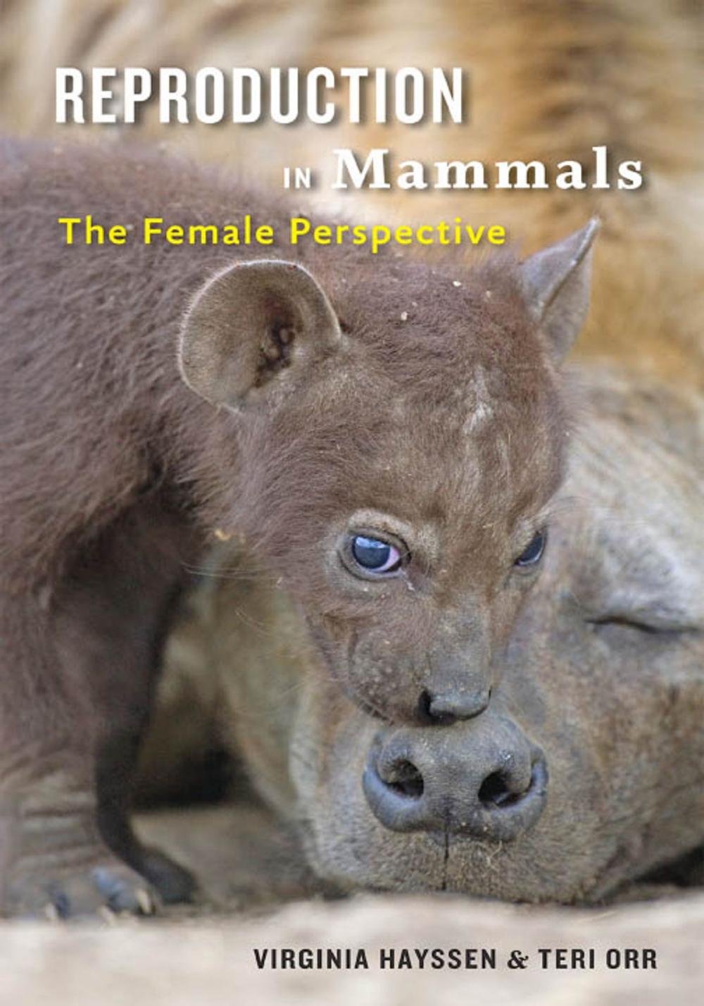 Big bigCover of Reproduction in Mammals