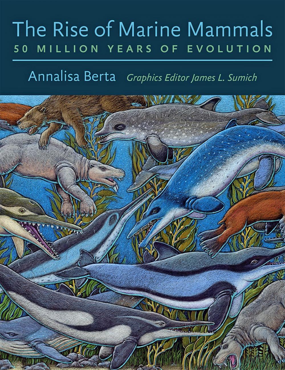 Big bigCover of The Rise of Marine Mammals