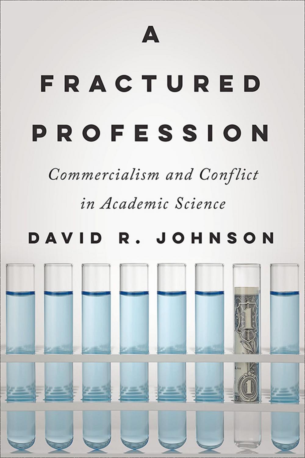 Big bigCover of A Fractured Profession