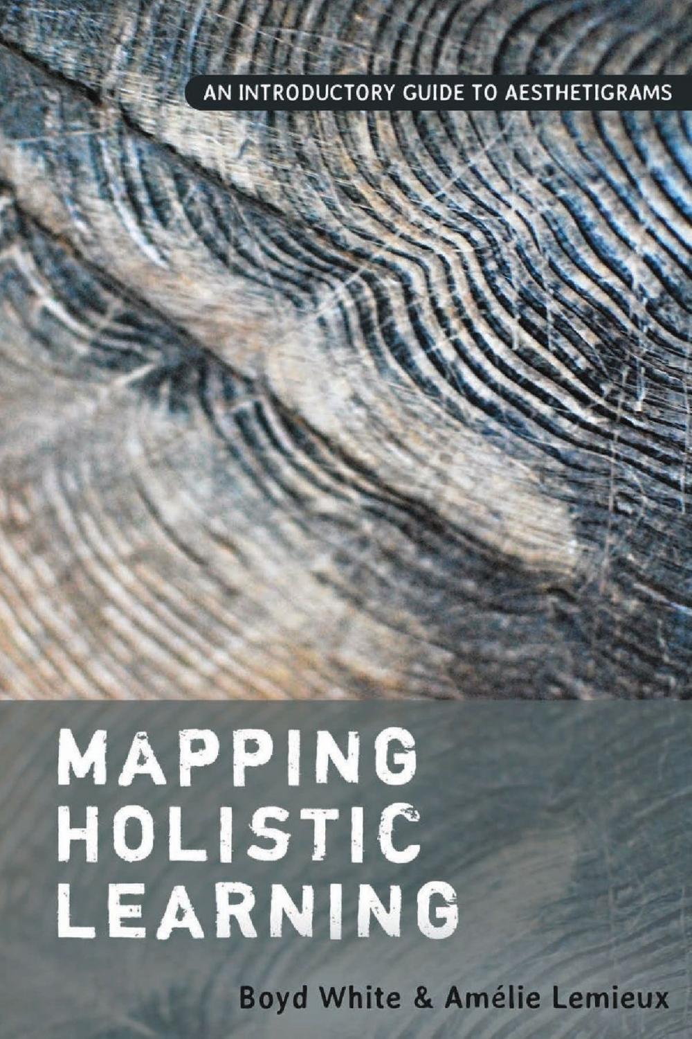 Big bigCover of Mapping Holistic Learning