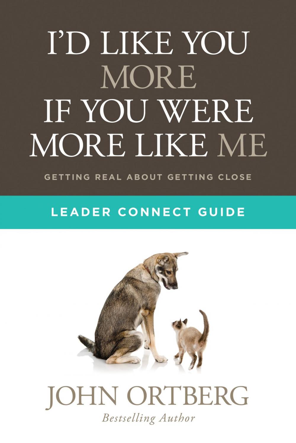 Big bigCover of I'd Like You More if You Were More like Me Leader Connect Guide