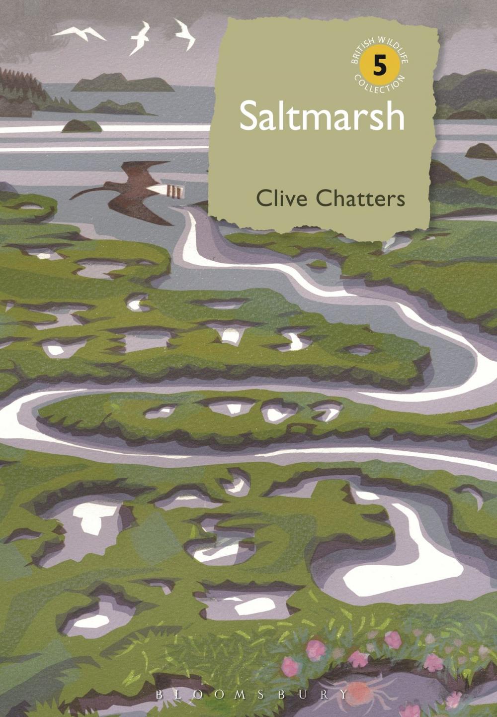 Big bigCover of Saltmarsh