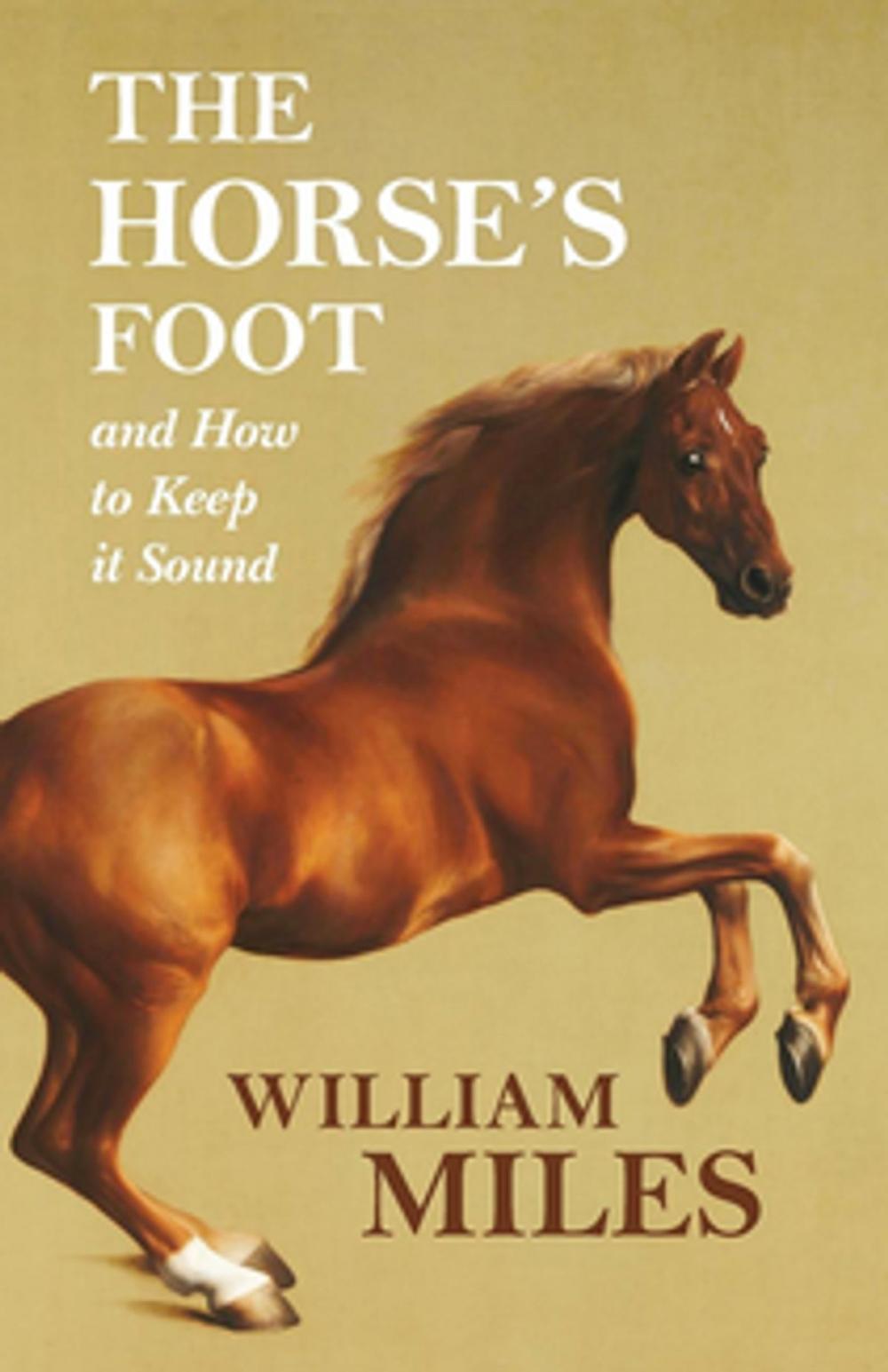 Big bigCover of The Horse's Foot and How to Keep it Sound