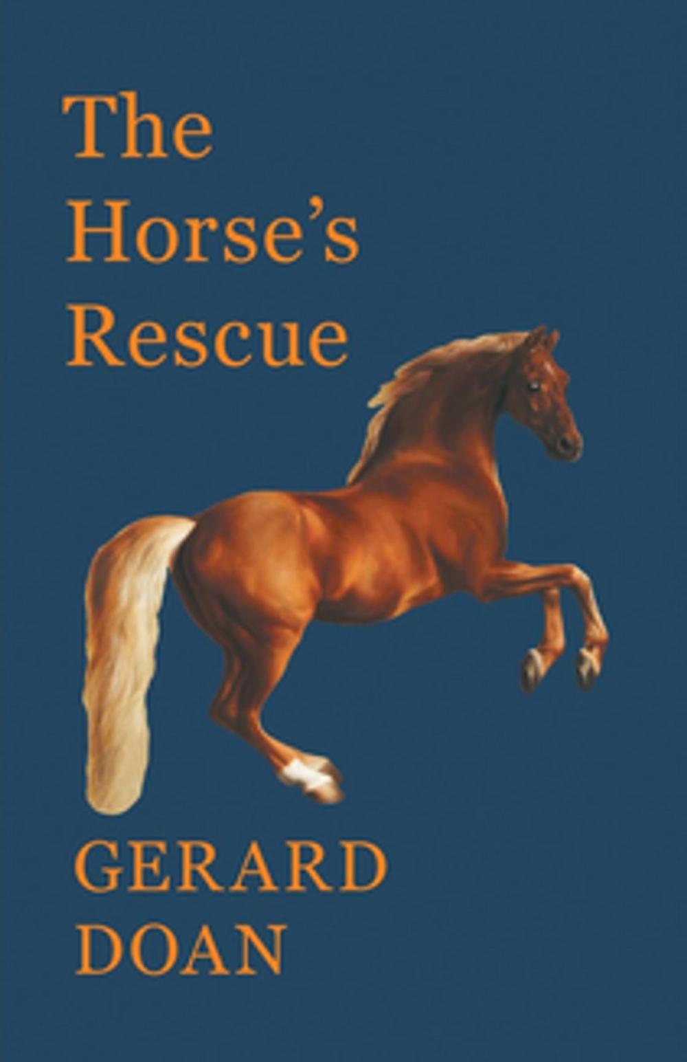 Big bigCover of The Horse's Rescue