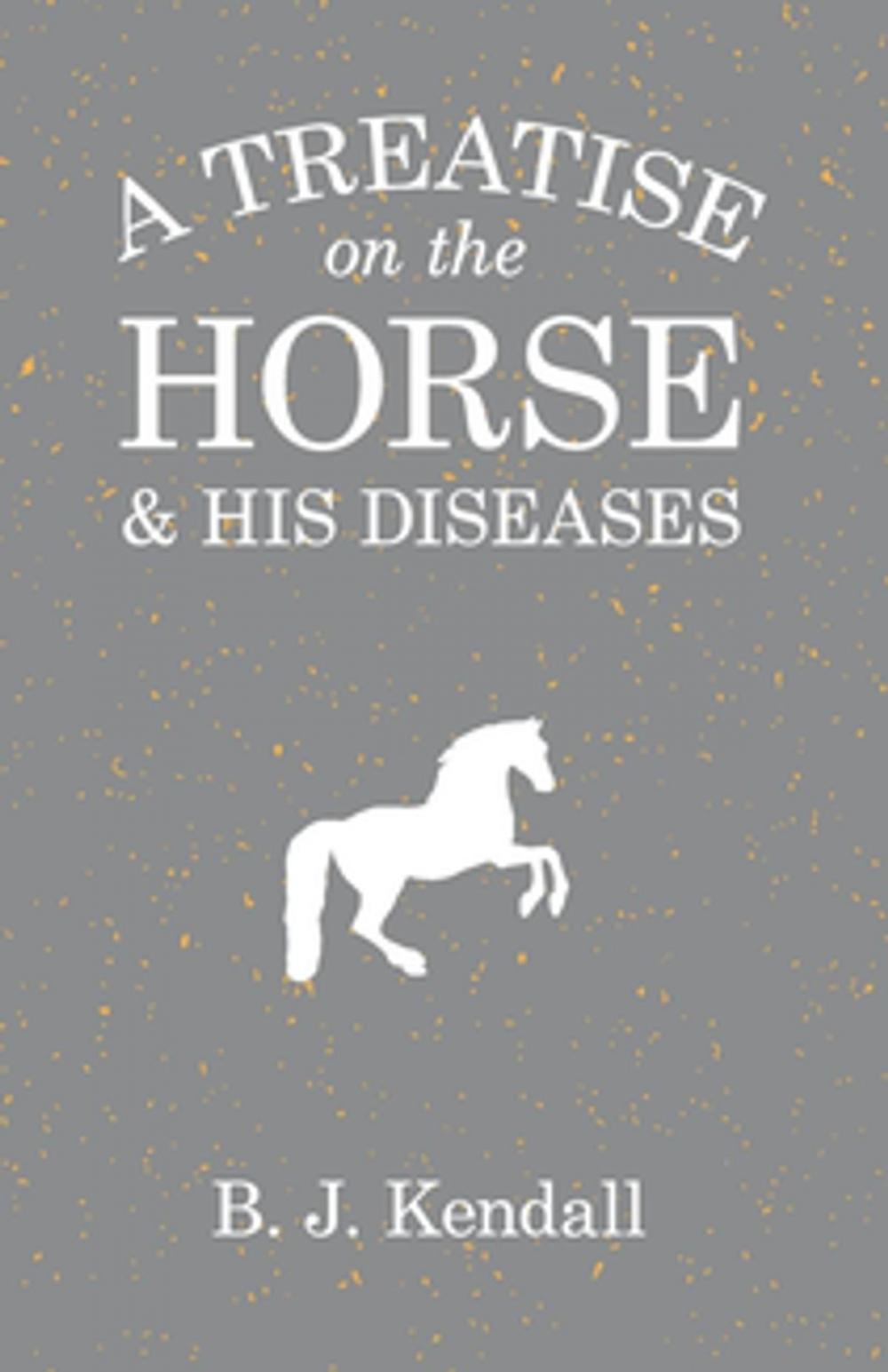 Big bigCover of A Treatise on the Horse and His Diseases